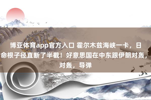 博亚体育app官方入口 霍尔木兹海峡一卡，日本的命根子径直断了半截！好意思国在中东跟伊朗对轰，导弹