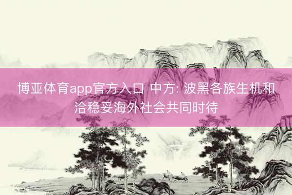 博亚体育app官方入口 中方: 波黑各族生机和洽稳妥海外社会共同时待