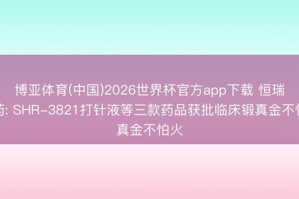 博亚体育(中国)2026世界杯官方app下载 恒瑞医药: SHR-3821打针液等三款药品获批临床锻真金不怕火
