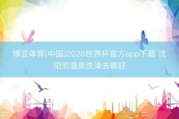 博亚体育(中国)2026世界杯官方app下载 沈阳泡温泉洗澡去哪好
