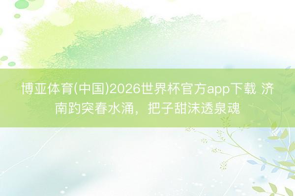 博亚体育(中国)2026世界杯官方app下载 济南趵突春水涌，把子甜沫透泉魂