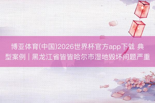 博亚体育(中国)2026世界杯官方app下载 典型案例 | 黑龙江省皆皆哈尔市湿地毁坏问题严重