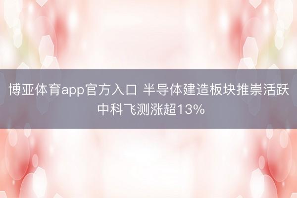 博亚体育app官方入口 半导体建造板块推崇活跃 中科飞测涨超13%