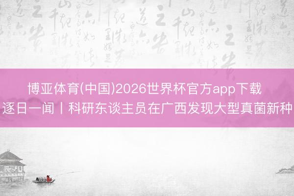 博亚体育(中国)2026世界杯官方app下载 逐日一闻丨科研东谈主员在广西发现大型真菌新种