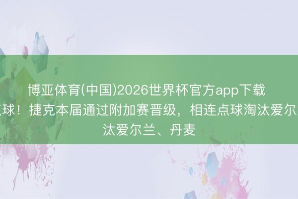博亚体育(中国)2026世界杯官方app下载 专科踢点球！捷克本届通过附加赛晋级，相连点球淘汰爱尔兰、丹麦