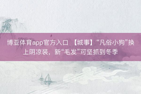 博亚体育app官方入口 【城事】“凡俗小狗”换上阴凉装，新“毛发”可坚抓到冬季