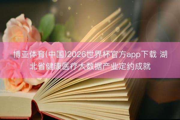 博亚体育(中国)2026世界杯官方app下载 湖北省健康医疗大数据产业定约成就