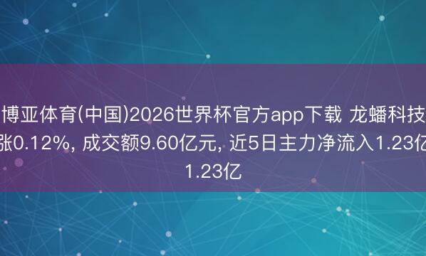博亚体育(中国)2026世界杯官方app下载 龙蟠科技涨0.12%， 成交额9.60亿元， 近5日主力净流入1.23亿