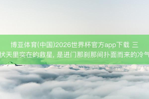 博亚体育(中国)2026世界杯官方app下载 三伏天里实在的救星， 是进门那刹那间扑面而来的冷气